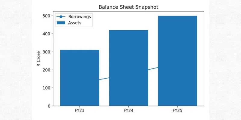 RAJ RAYON INDUSTRIES LIMITED FINANCIAL AND BUSINESS ANALYSIS REPORT